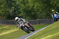 brands-hatch-photographs;brands-no-limits-trackday;cadwell-trackday-photographs;enduro-digital-images;event-digital-images;eventdigitalimages;no-limits-trackdays;peter-wileman-photography;racing-digital-images;trackday-digital-images;trackday-photos